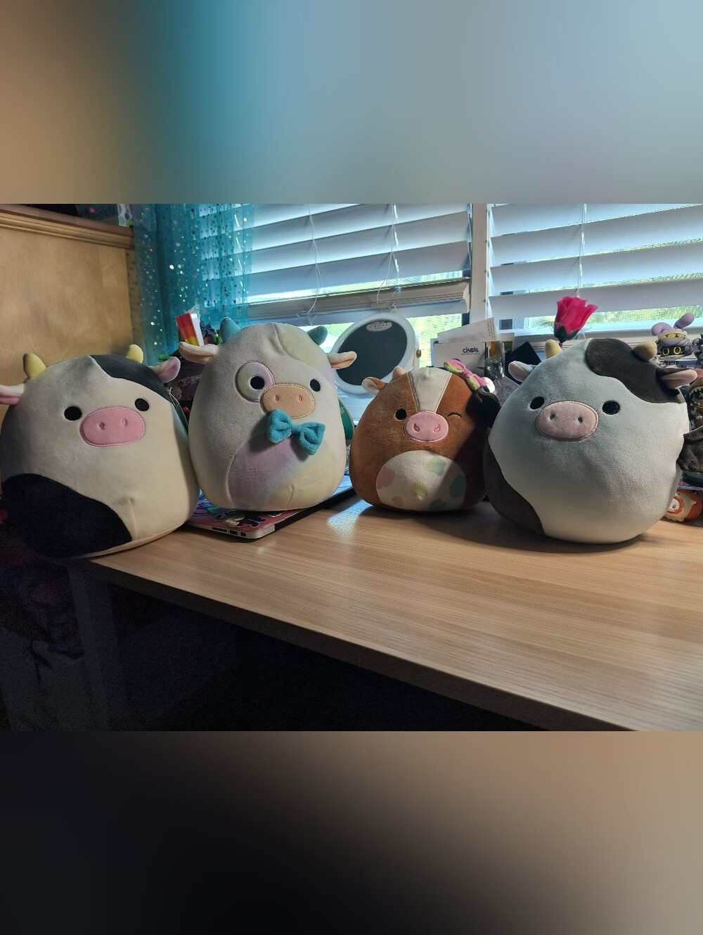 Squishmallow Cow Bundle